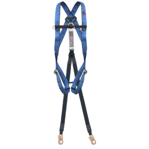 harness-gamma_PN 10S with 361