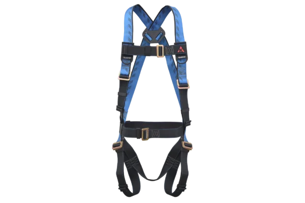 harness-gamma_PN 21