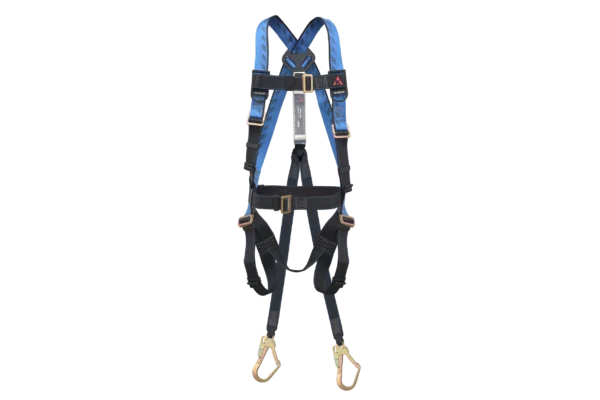 harness-gamma_PN 21 with 361